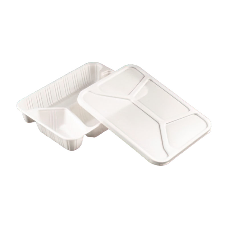 Biodegradable Disposable lunch box